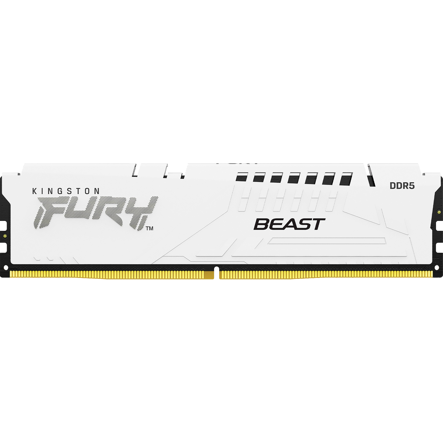 Память оперативная Kingston FURY Beast KF560C30BWE-32