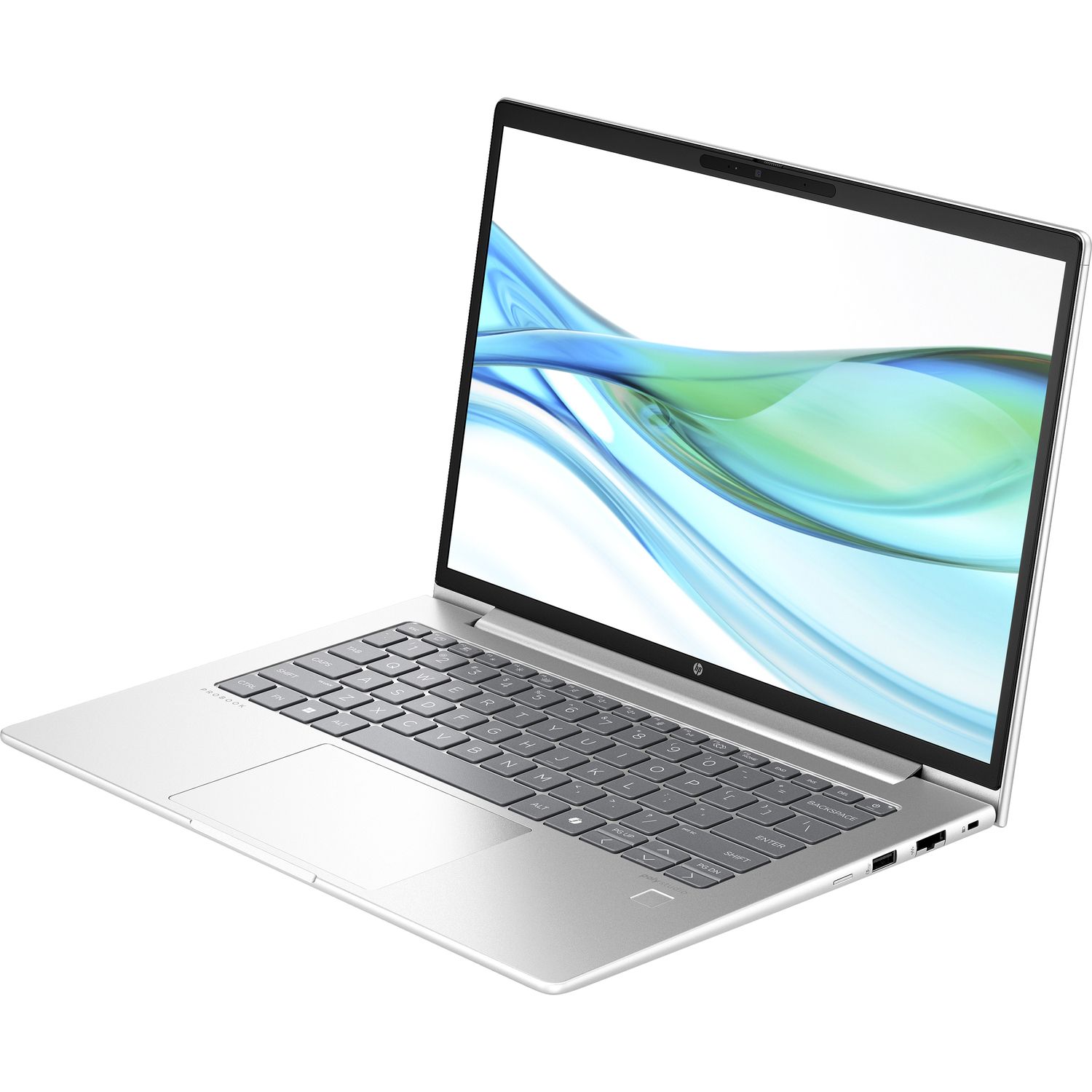 Ноутбук Ноутбук HP Probook 440 G11 14" (D2FP6ET#BH5)