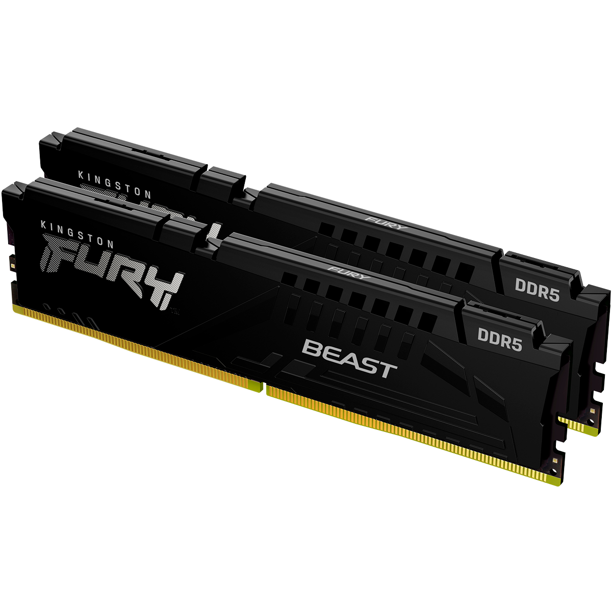 Память оперативная Kingston FURY Beast Black KF556C40BBK2-32