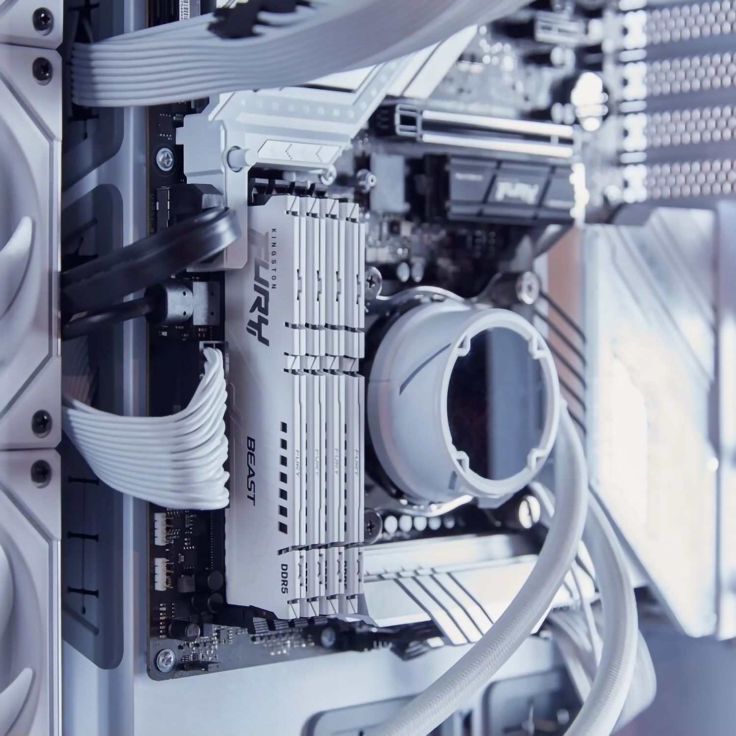 Память оперативная Kingston FURY Beast KF556C40BW-16